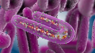 إرشادات جديدة من التعليم للمدارس للوقاية من الأمراض التنفسية إرشادات جديدة من التعليم للمدارس للوقاية من الأمراض التنفسية