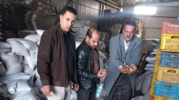 تمهيدا لبيعها في رمضان.. ضبط 170 طن سلع غذائية منتهية الصلاحية بالشرقية تمهيدا لبيعها في رمضان.. ضبط 170 طن سلع غذائية منتهية الصلاحية بالشرقية