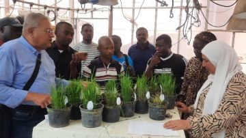 ختام تدريب وفد إفريقي على تقنيات تحسين تقاوي الأرز بـ بحوث سخا صور ختام تدريب وفد إفريقي على تقنيات تحسين تقاوي الأرز بـ بحوث سخا صور