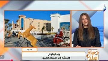 ارتفاع غير مسبوق في الإشغالات السياحية مع اقتراب احتفالات رأس السنة فيديو ارتفاع غير مسبوق في الإشغالات السياحية مع اقتراب احتفالات رأس السنة فيديو