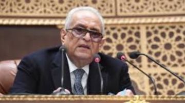 بهاء أبو شقة: محكمة النقض تختص بعد إعلان نتائج الانتخابات والفصل في عضوية النواب فيديو