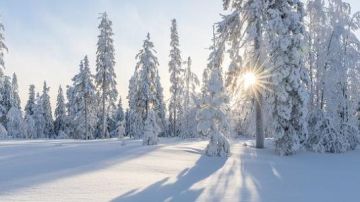 فعل في الأجواء الباردة.. يفتح الله عليك به الأبواب من حيث لا تدري فعل في الأجواء الباردة.. يفتح الله عليك به الأبواب من حيث لا تدري