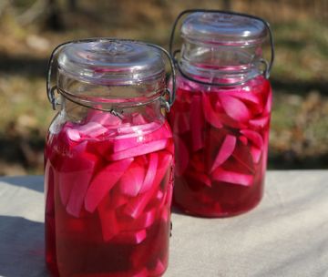 طريقة عمل مخلل اللفت مع الجزر والقرنبيط طريقة عمل مخلل اللفت مع الجزر والقرنبيط