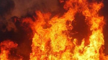 ندب المعمل الجنائي لفحص نشوب حريق في مزرعة خيول بالعبور