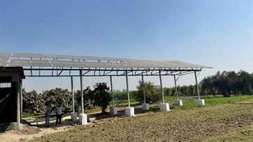 الزراعة تواصل مشروع تطوير ري قصب السكر لترشيد المياه