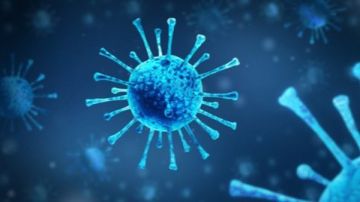 الصحة العالمية: سلالة جديدة من فيروس الإنفلونزا A(H3N2) تنتشر في أكثر من 30 دولة الصحة العالمية: سلالة جديدة من فيروس الإنفلونزا A(H3N2) تنتشر في أكثر من 30 دولة