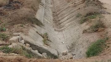 استصلاح الأراضي يزيل 80 حالة تعد على الأراضي الزراعية خلال أسبوع استصلاح الأراضي يزيل 80 حالة تعد على الأراضي الزراعية خلال أسبوع