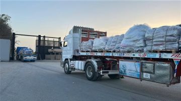 الهلال الأحمر المصري يدفع بـ10 آلاف طن مساعدات إنسانية إلى غزة الهلال الأحمر المصري يدفع بـ10 آلاف طن مساعدات إنسانية إلى غزة