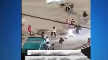 ضبط مزارع تعدى على عامل بسلاح ناري في المنيا