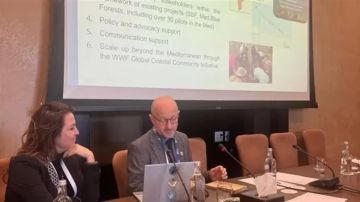 منال عوض: استعادة سواحل البحر المتوسط والأراضي الرطبة على رأس أولويات COP24