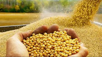 أحمد سمير: سد فجوة الأعلاف أولوية تشريعية لدعم الأمن الغذائي