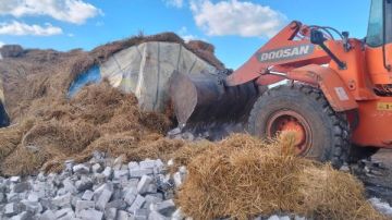 إزالة فورية لحالة بناء مخالف بكفر الشيخ.. وهذه أبرز توجيهات المحافظ إزالة فورية لحالة بناء مخالف بكفر الشيخ.. وهذه أبرز توجيهات المحافظ