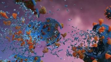 إنفلونزا خارقة .. موجة غير مسبوقة ونسخة متحورة من سلالة H3N2 إيه اللى بيحصل؟ إنفلونزا خارقة .. موجة غير مسبوقة ونسخة متحورة من سلالة H3N2 إيه اللى بيحصل؟