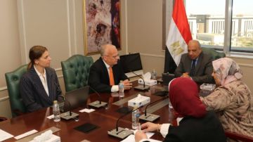 وزير الكهرباء يبحث الاستثمار مع السويد في مشروعات تخزين الطاقة