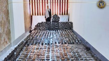 بتهمة الإتجار في 1.4طن مخدرات .. عصابة تقودها سيدة تواجه هذه العقوبة بتهمة الإتجار في 1.4طن مخدرات .. عصابة تقودها سيدة تواجه هذه العقوبة