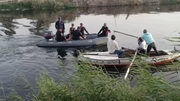 البحث عن التمساح.. جهود مكثفة للعثور على تماسيح مصرف الزوامل بالشرقية