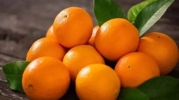 الزراعة: فتح السوق البيروفي أمام صادرات مصر من الموالح الزراعة: فتح السوق البيروفي أمام صادرات مصر من الموالح