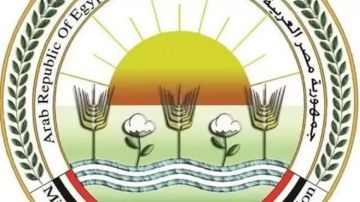 الزراعة: تحصين الماشية بـ 8.1 مليون جرعة للقاحي الحمى القلاعية والوادي المتصدع الزراعة: تحصين الماشية بـ 8.1 مليون جرعة للقاحي الحمى القلاعية والوادي المتصدع