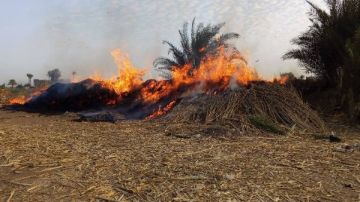 حريق هائل باحدى قرى محافظة سوهاج بسبب بوص الذرة..ما الذي حدث؟