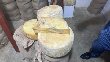 الإسكندرية.. ضبط 20.6 طن أغذية غير صالحة للاستهلاك الآدمي الإسكندرية.. ضبط 20.6 طن أغذية غير صالحة للاستهلاك الآدمي