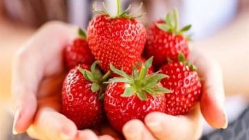فوائد لا تعرفها.. ماذا يحدث لجسمك عند تناول الفراولة يوميا؟ فوائد لا تعرفها.. ماذا يحدث لجسمك عند تناول الفراولة يوميا؟