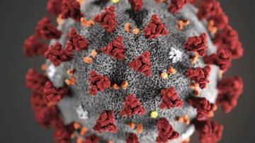 اللجنة العلمية لمكافحة كورونا تحسم الجدل حول حقيقة انتشار فيروس جديد