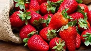 الزراعة ترد على الشائعات: مصر من أوائل الدول في تصدير الفراولة