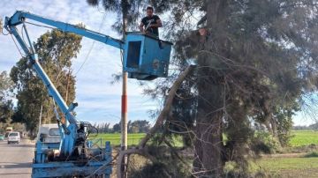 محافظ كفر الشيخ يوجه برفع مستوى أمان طريق إسحاقة السرو صور محافظ كفر الشيخ يوجه برفع مستوى أمان طريق إسحاقة السرو صور