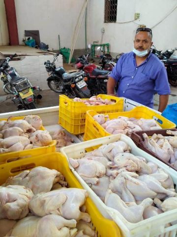 ضبط 84 طن دواجن مجمدة بدون فواتير داخل ثلاجة مواد غذائية بالعاشر