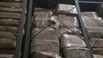 ضبط 5.6 طن جمبري وأسماك وكاليمارى وبطارخ مجهول المصدر بدمياط