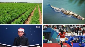 أخبار التوك شو عمرو أديب ينفعل على الهواء لهذا السبب .. حقيقة منع أصحاب الجلاليب من دخول محافظة الأقصر.. حالة الطقس اليوم السبت