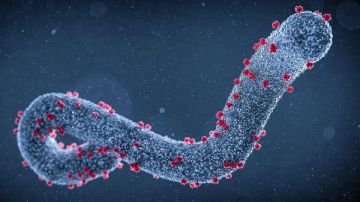 روشتة ذهبية للوقاية من دور البرد المنتشر .. تفاصيل