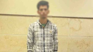 القبض على أحد أنصار مرشح بالبحيرة بحوزته كروت دعاية انتخابية