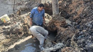 كسر مفاجئ في خط مياه بالقنطرة البيضاء.. وشركة كفر الشيخ تتدخل صور