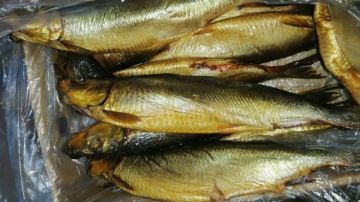 كفر الشيخ .. ضبط 165 كيلو أسماك مدخنة غير صالحة للاستهلاك الآدمي