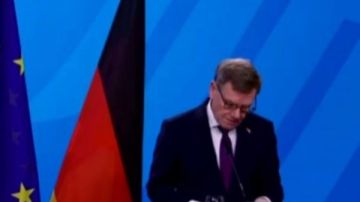 وزير الخارجية الألماني: نكثف التعاون مع مصر ونثمن دورها في استقرار المنطقة