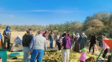 بحوث الصحراء: دعم الزراعة المستدامة في توشكي والوادي الجديد