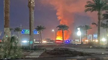 السيطرة على حريق في الغابة الشجرية غرب الغردقة دون إصابات السيطرة على حريق في الغابة الشجرية غرب الغردقة دون إصابات