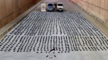 2 طن حشيش وهيدرو.. الداخلية تحيط تهريب صفقة ضخمة من المخدرات بالسويس صور 2 طن حشيش وهيدرو.. الداخلية تحيط تهريب صفقة ضخمة من المخدرات بالسويس صور