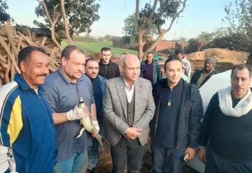 البيئة تنجح فى الإمساك بتمساح مصرف قرية الزوامل بالشرقية