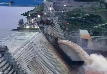 وزير الري المصري: سد النهضة الإثيوبي غير قانوني وخطورته ما زالت قائمة وزير الري المصري: سد النهضة الإثيوبي غير قانوني وخطورته ما زالت قائمة