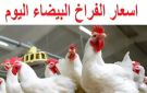 أسعار الفراخ اليوم الإثنين 15 ديسمبر 2025