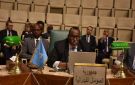 مندوب الصومال بالجامعة العربية: الإجراء الإسرائيلي باطل ومرفوض وعديم الأثر - eg