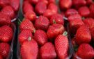 الفراولة رقم واحد .. الصناعات الغذائية: صادراتنا سجلت 5.8 مليار دولار