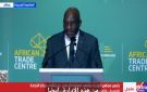 رئيس البنك الأفريقي يشيد بموقع مركز التجارة الأفريقي داخل العاصمة الإدارية