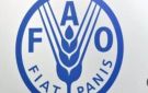 البحوث الزراعية: مؤتمر الفاو يستعرض التقارير الإقليمية ويضع رؤى مستقبلية للغذاء عالميا