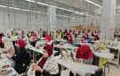 التضامن تنجح في تمكين 2000 سيدة بمصنع يوفر الحد الأدنى للأجور والتأمينات