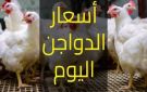 استقرار بالأسواق.. أسعار الفراخ اليوم الثلاثاء 2 ديسمبر