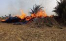 حريق هائل باحدى قرى محافظة سوهاج بسبب بوص الذرة..ما الذي حدث؟