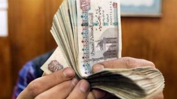 بعد تحرك البرلمان.. غرامة 500 ألف جنيه بقانون تنظيم حيازة الكلاب الخطرة